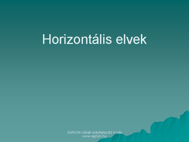 Horizontális elvek AGRION Vállalkozásfejlesztő Iroda www. agrion. hu 