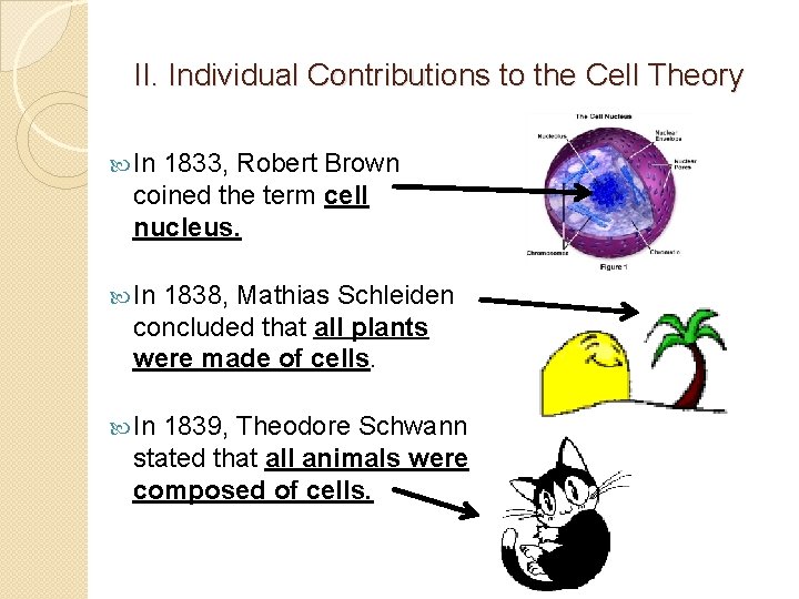 II. Individual Contributions to the Cell Theory In 1833, Robert Brown coined the term