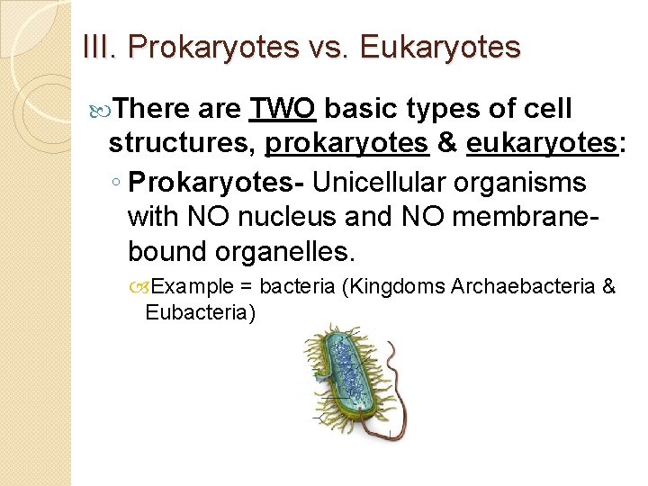 III. Prokaryotes vs. Eukaryotes There are TWO basic types of cell structures, prokaryotes &