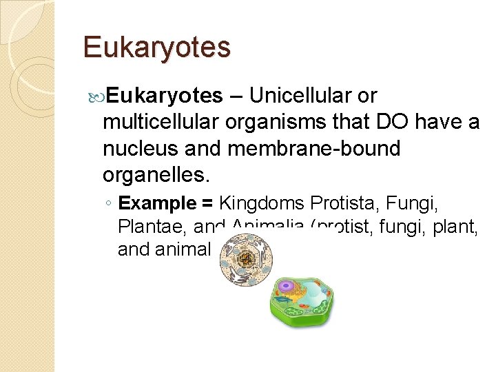 Eukaryotes – Unicellular or multicellular organisms that DO have a nucleus and membrane-bound organelles.