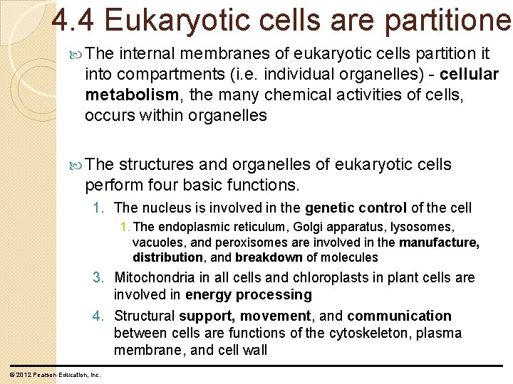 4. 4 Eukaryotic cells are partitioned The internal membranes of eukaryotic cells partition it