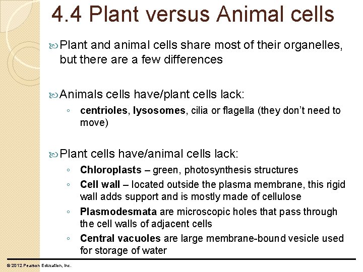 4. 4 Plant versus Animal cells Plant and animal cells share most of their