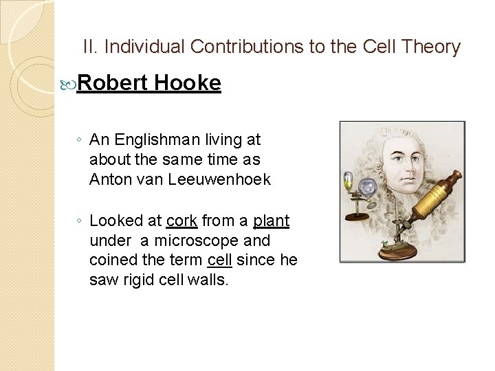 II. Individual Contributions to the Cell Theory Robert Hooke ◦ An Englishman living at