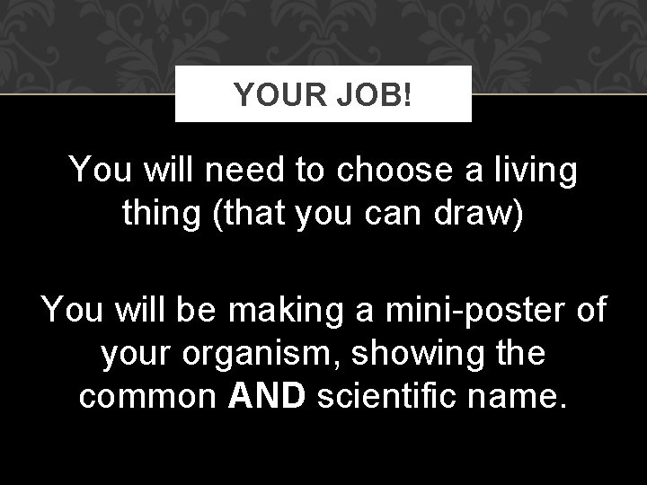 YOUR JOB! You will need to choose a living thing (that you can draw)