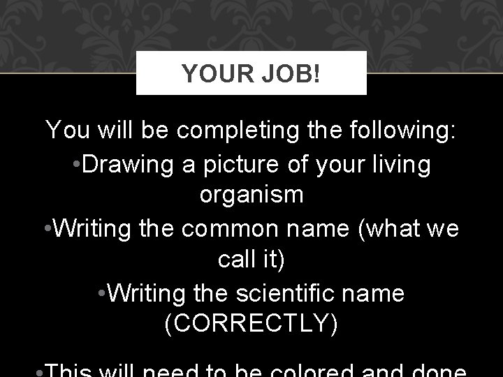 YOUR JOB! You will be completing the following: • Drawing a picture of your