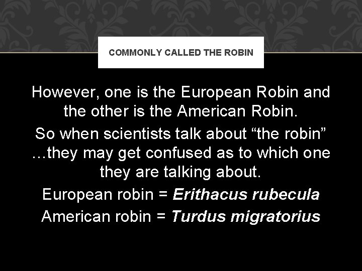 COMMONLY CALLED THE ROBIN However, one is the European Robin and the other is