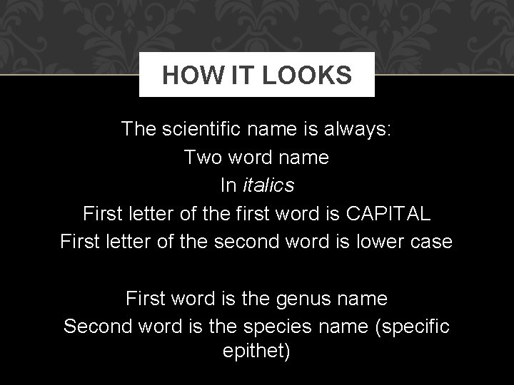 HOW IT LOOKS The scientific name is always: Two word name In italics First