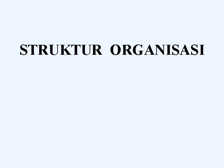 STRUKTUR ORGANISASI 