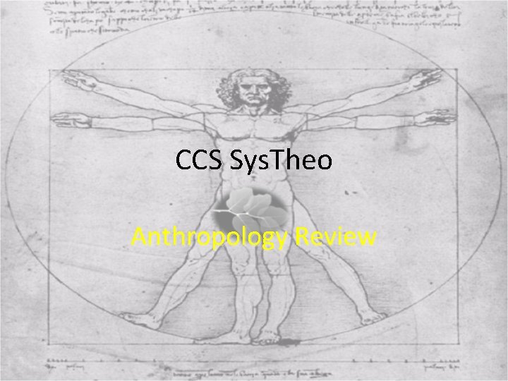 CCS Sys. Theo Anthropology Review 