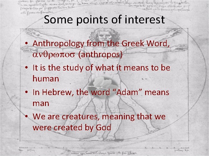 Some points of interest • Anthropology from the Greek Word, anqrwpos (anthropos) • It