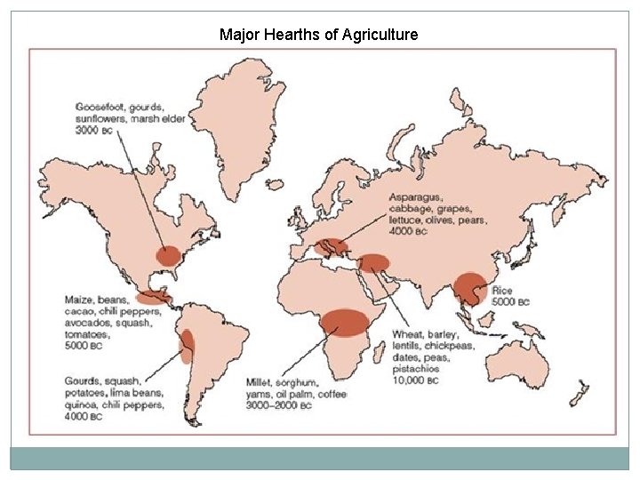 Major Hearths of Agriculture 