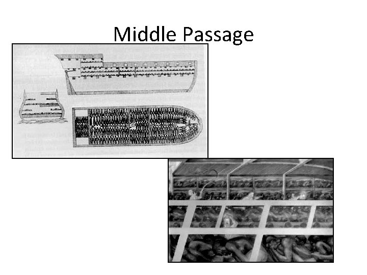 Middle Passage 