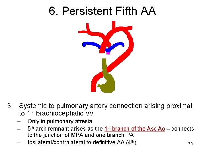 6. Persistent Fifth AA 3. Systemic to pulmonary artery connection arising proximal to 1