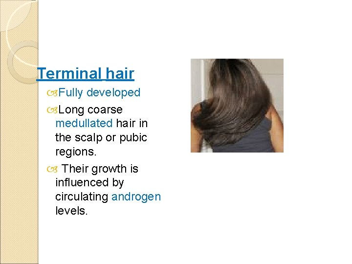 Terminal hair Fully developed Long coarse medullated hair in the scalp or pubic regions.