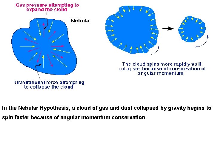 In the Nebular Hypothesis, a cloud of gas and dust collapsed by gravity begins