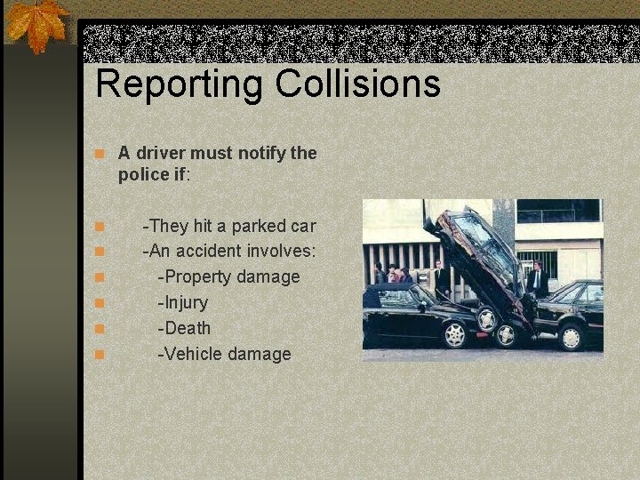 Reporting Collisions n A driver must notify the police if: n n n -They