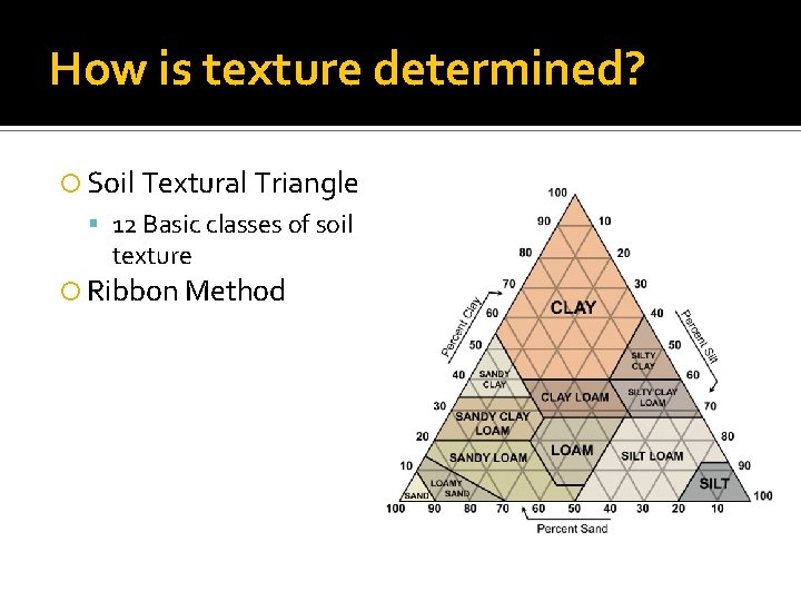 How is texture determined? Soil Textural Triangle 12 Basic classes of soil texture Ribbon