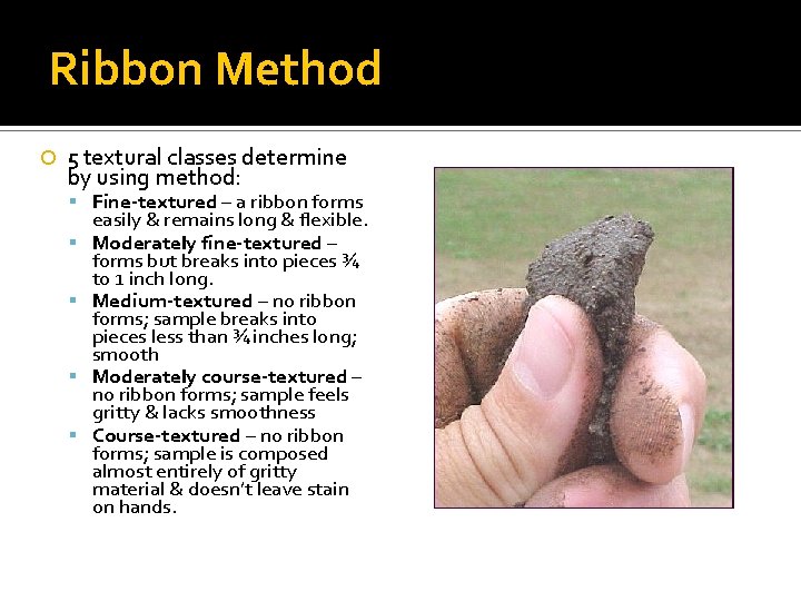 Ribbon Method 5 textural classes determine by using method: Fine-textured – a ribbon forms