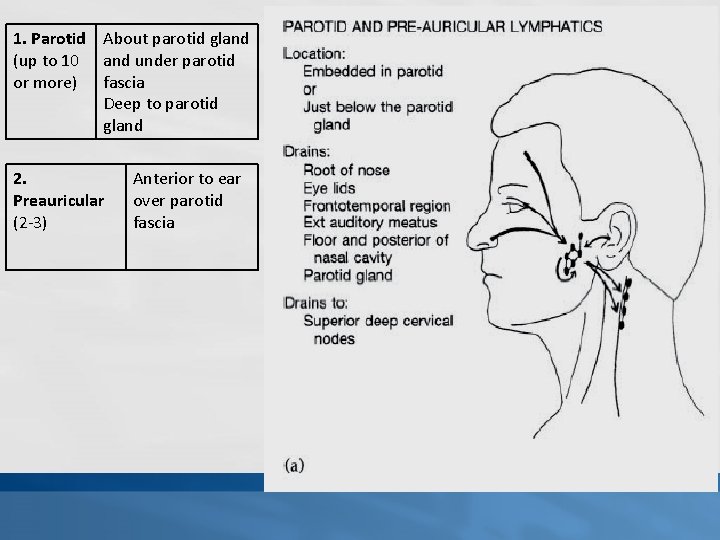 1. Parotid About parotid gland (up to 10 and under parotid or more) fascia