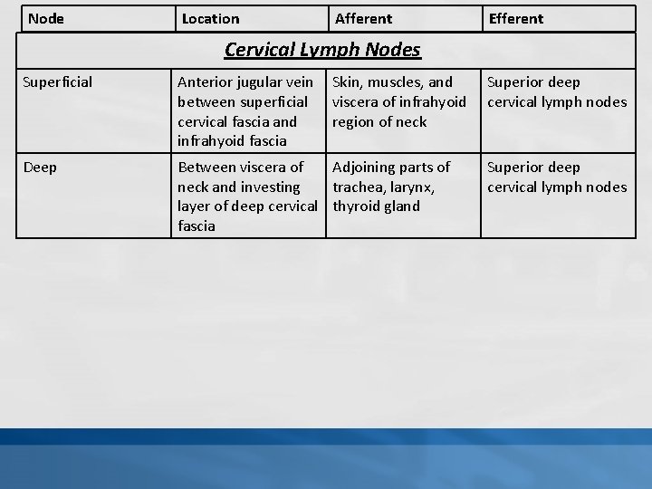 Node Location Afferent Efferent Cervical Lymph Nodes Superficial Anterior jugular vein between superficial cervical