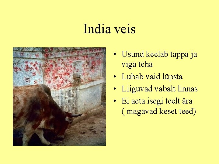 India veis • Usund keelab tappa ja viga teha • Lubab vaid lüpsta •