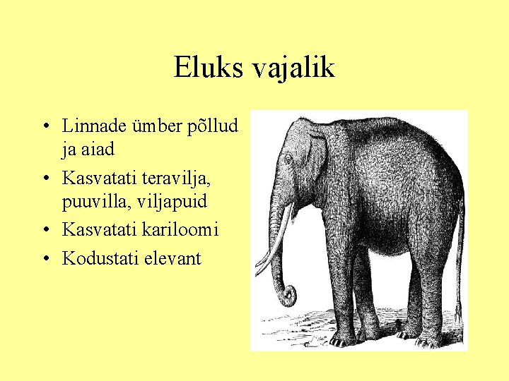 Eluks vajalik • Linnade ümber põllud ja aiad • Kasvatati teravilja, puuvilla, viljapuid •