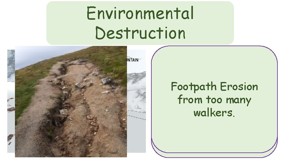 Environmental Destruction Litter is a huge problem. Visitors Footpath Erosion need to be reminded