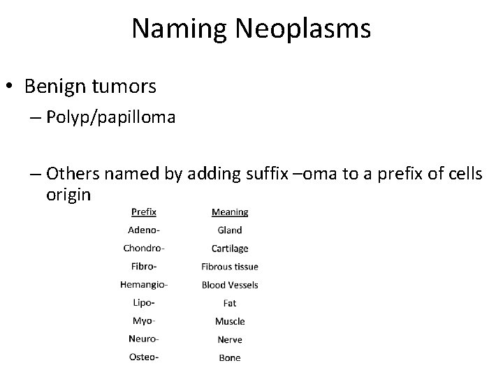 Naming Neoplasms • Benign tumors – Polyp/papilloma – Others named by adding suffix –oma