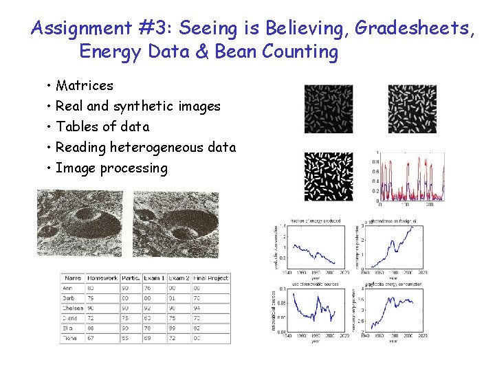 Assignment #3: Seeing is Believing, Gradesheets, Energy Data & Bean Counting • Matrices •
