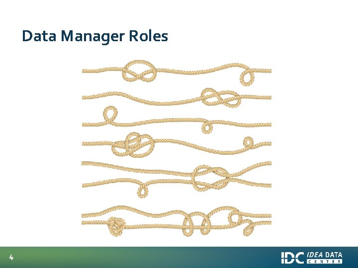 Data Manager Roles 4 