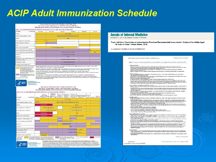 ACIP Adult Immunization Schedule 