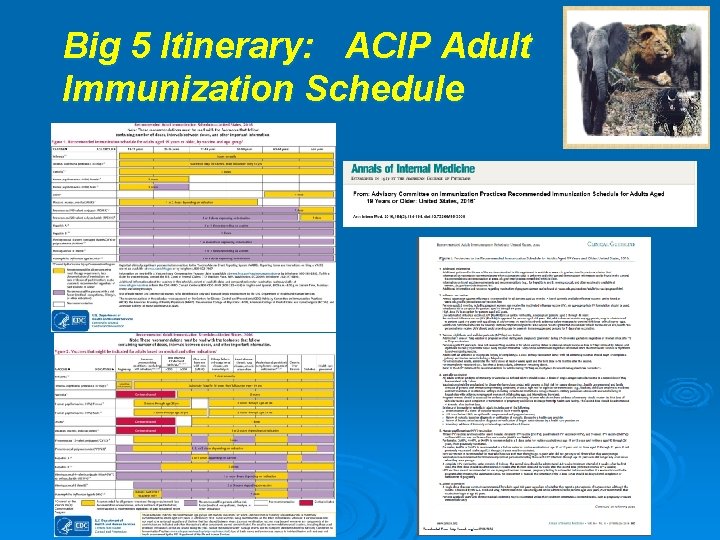 Big 5 Itinerary: ACIP Adult Immunization Schedule 