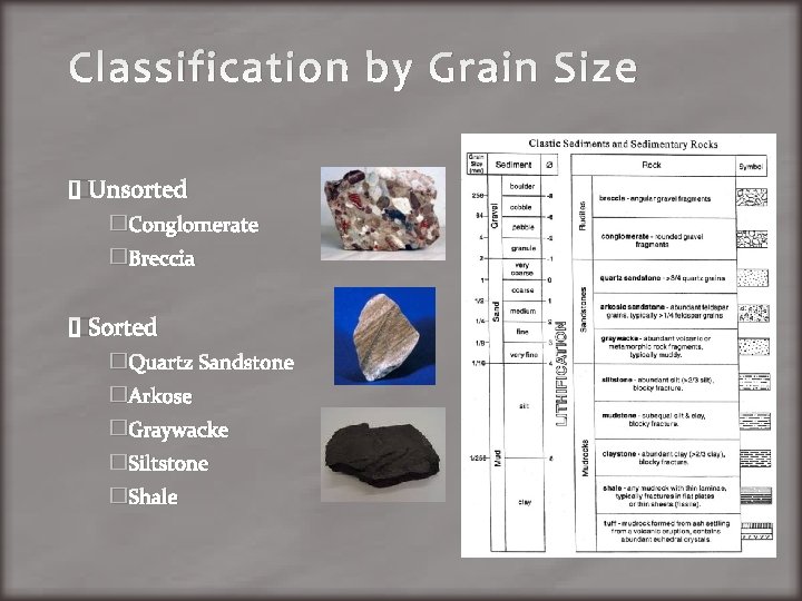 Classification by Grain Size �Unsorted �Conglomerate �Breccia �Sorted �Quartz Sandstone �Arkose �Graywacke �Siltstone �Shale