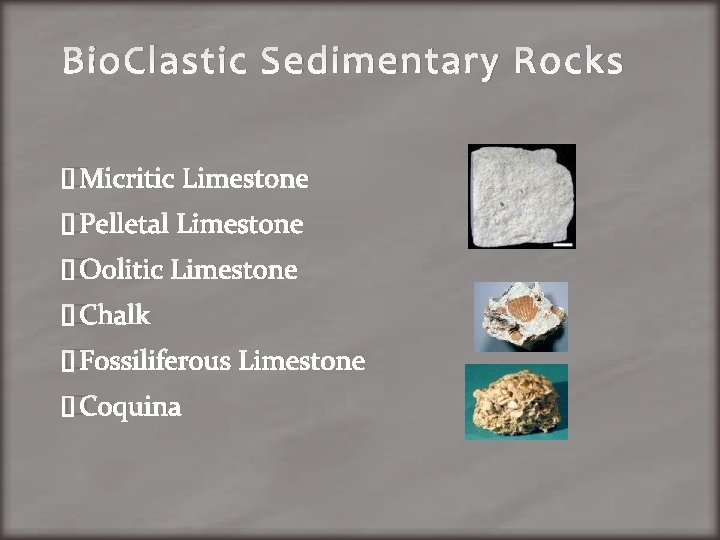 Bio. Clastic Sedimentary Rocks �Micritic Limestone �Pelletal Limestone �Oolitic Limestone �Chalk �Fossiliferous Limestone �Coquina