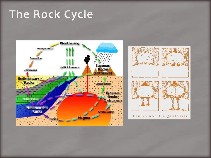 The Rock Cycle 