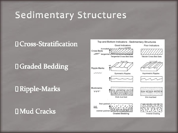 Sedimentary Structures �Cross-Stratification �Graded Bedding �Ripple-Marks �Mud Cracks 
