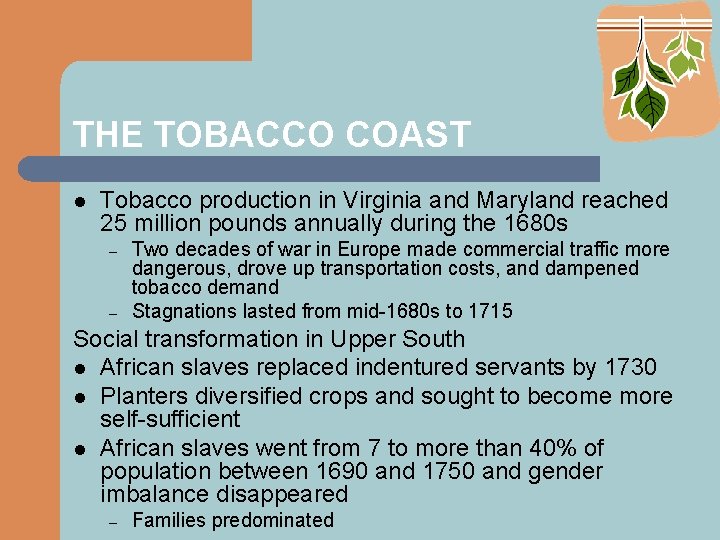 THE TOBACCO COAST l Tobacco production in Virginia and Maryland reached 25 million pounds