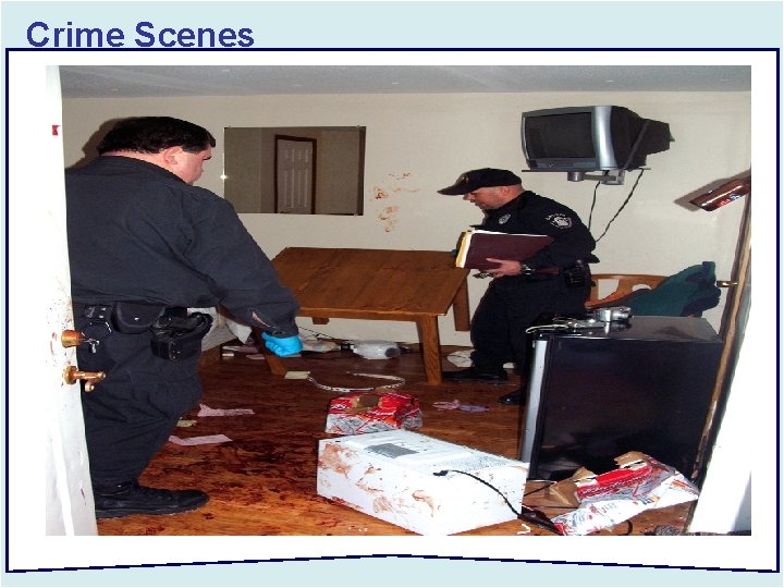 Crime Scenes 