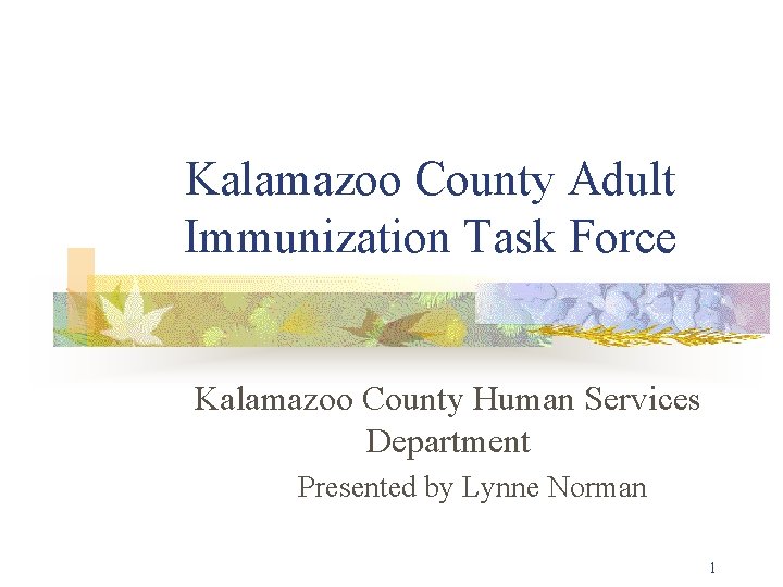 Kalamazoo County Adult Immunization Task Force Kalamazoo County Human Services Department Presented by Lynne