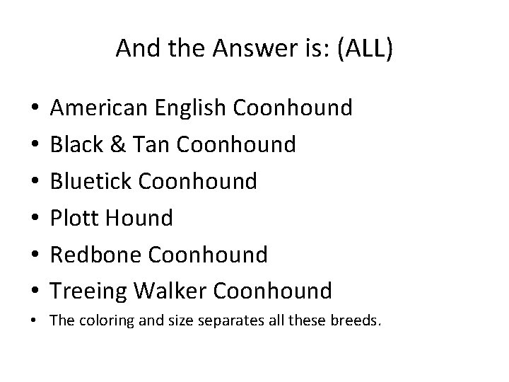And the Answer is: (ALL) • • • American English Coonhound Black & Tan