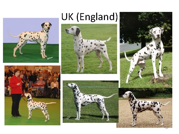 UK (England) 39 