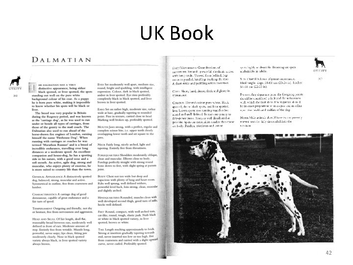 UK Book 42 