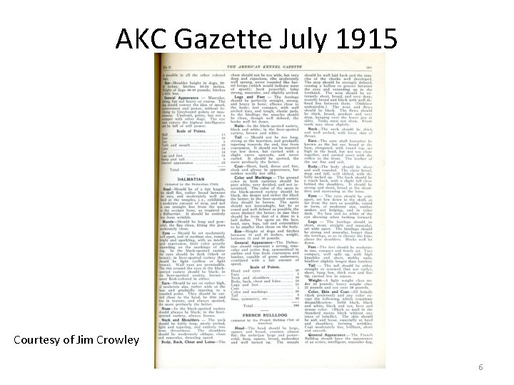 AKC Gazette July 1915 Courtesy of Jim Crowley 6 