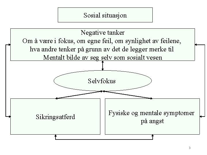 Sosial situasjon Negative tanker Om å være i fokus, om egne feil, om synlighet