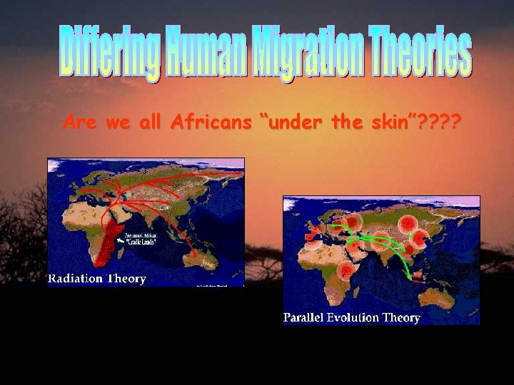 Are we all Africans “under the skin”? ? 