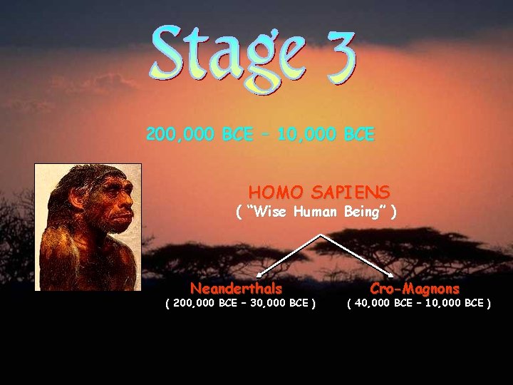 200, 000 BCE – 10, 000 BCE HOMO SAPIENS ( “Wise Human Being” )
