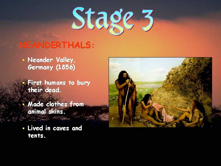 NEANDERTHALS: § Neander Valley, Germany (1856) § First humans to bury their dead. §