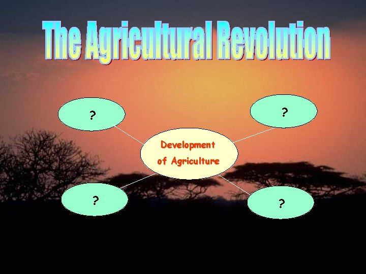 ? ? Development of Agriculture ? ? 