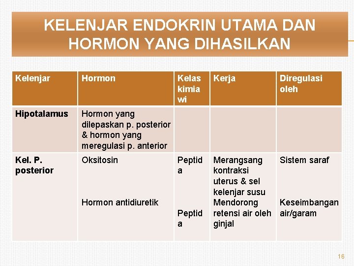 KELENJAR ENDOKRIN UTAMA DAN HORMON YANG DIHASILKAN Kelenjar Hormon Hipotalamus Hormon yang dilepaskan p.