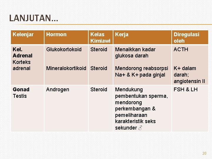 LANJUTAN… Kelenjar Hormon Kelas Kerja Kimiawi Diregulasi oleh Kel. Adrenal Korteks adrenal Glukokortokoid Steroid